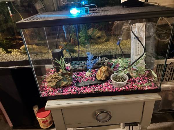 10 gallon aquarium and accessories 1