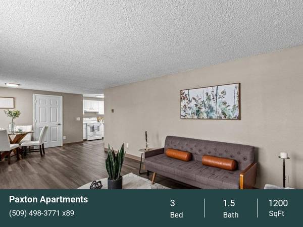 $1,650 / 3br - 1200ft2 - Three Bedroom 1.5 Bath - Fantastic Specials Running Now! Upgrades!63673500997505120