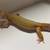 Leopard geckos 5 thumbnail
