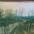 PRINT - BIRCH PATH BY GERRY VON TRIER 2 thumbnail