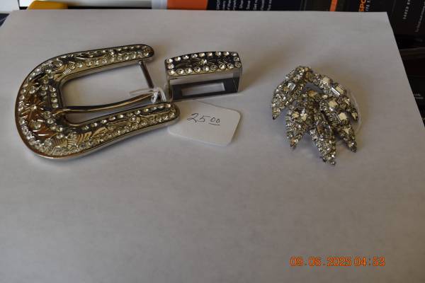 Rhinestone Buckle and Pin 1