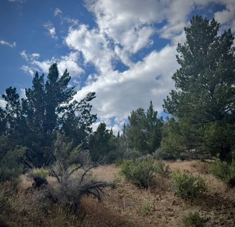 $18,000 🌿 3 Acres de Magia en el Interior de Oregón — $18,000 OBO (Sprague River, OR)63834315908099122