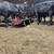 Bred angus cows 1 thumbnail