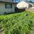 Clean outs weed whacking maintenence 805 6747364 7 thumbnail