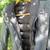 Women's North Face Winter Jacket, Size Small 14 thumbnail
