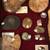 Fossil Ammonites All Sizes 1 thumbnail