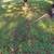 Antique garden push cultivators 1 thumbnail