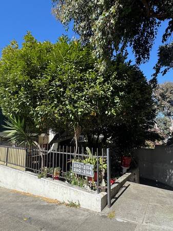 PRIME NORTH BEACH- Charming & Cozy 1BD/1BA Apt. w/ Patio & Pkg. Avail. 1