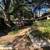 $1,500 – Cozy 1-Bed Condo in Austin’s Coveted 78703! Walk to UT & Down 2 thumbnail