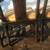(3) Century furniture Chin Hua line Chinoiserie Dining chairs A11 11 thumbnail