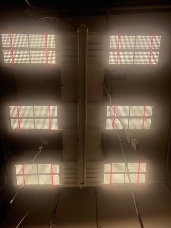 HLG Scorpion Diablo LED Grow Light 1