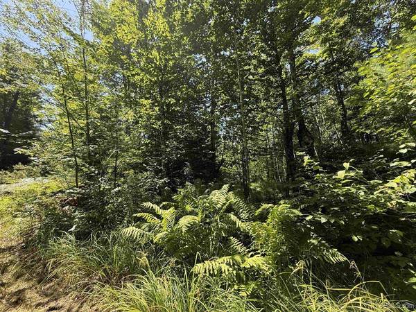 $59,000 33 Acres wooded recreational land MLS 50183350 (Crystal Falls)64151608458881120
