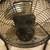 Fan Metal Blades Patton 18-Inch High Velocity Fan Black Vornado Holmes 7 thumbnail