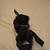 5 pound ankle weights adjustable 2 thumbnail