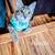 4 month old kittens for adoption 2 thumbnail