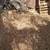 Stump Grinding and Yard Service's 2 thumbnail
