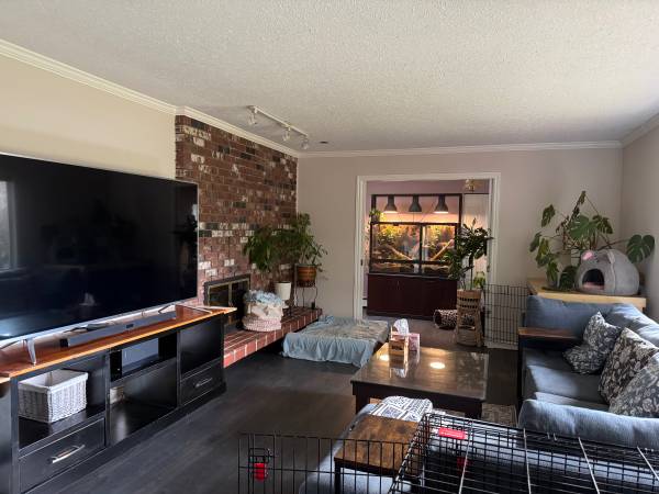 Private Room for Rent - move In Now 1