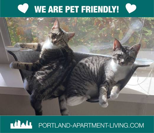 $1,595 / 1br - Pet Friendly, Bike storage, More! Find It All Here @ The Alexander! (SE Portland, E Burnside, Kerns)64039060424451120