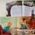 Lot of 3 hard cover children’s books , amazing illustrations 2 thumbnail