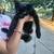 Kittens 2 thumbnail