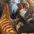 Assorted Pullets 4 1/2 months old 4 thumbnail