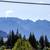 LAND, SHOP, AUTO BUSINESS & HOUSE 5 thumbnail