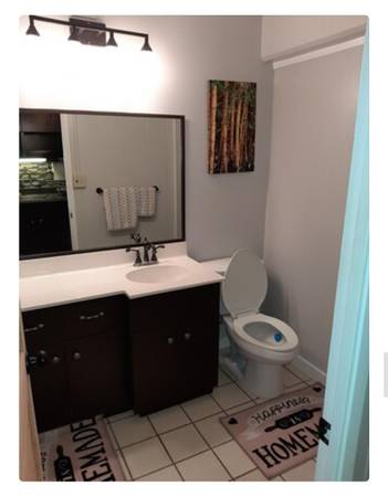 $2,000 / 1br - 600ft2 - Cozy 1br in Tropical Hawaiian setting tikis pool spa bbq fully furnish (UTILITIES INCLUDED Honolulu)63939665983491124