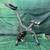ActivaFit Collapsible Exercise Bike Variable ResistanceDigitalDisplay 2 thumbnail