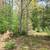 Sugar Camp Chain of Lakes Access. Wooded lot 11 thumbnail