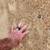 Sand, rock and gravel 1 thumbnail