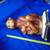 Fine Art MONKEY & BABE CERAMIC STATUE! Stunning! $195.00 Shipped! 16 thumbnail