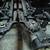 Case/IH 3406 corn head/ header cart for sale 8 thumbnail