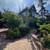 3 bedroom Victorian house with garden 1 thumbnail