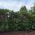 Landscaping Provided 3 thumbnail