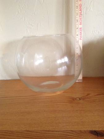 8" high Fish Bowl Vase 1