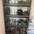 Reptile 4 level enclosure $350 1 thumbnail