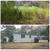 🍀LANDSCAPING 🏠 PROPERTY CLEANUP🗑️ JUNK REMOVAL 678)724-1969 21 thumbnail