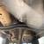 1994 ford ranger 15 thumbnail