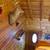 Beautiful Hand Hewn Logs 3beds 2 baths 6 thumbnail