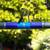 fishing rod for sale 1 thumbnail