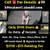 🐶 Transform Your Dog in 28 Days – Manhattan & Surrounding Areas 🗽 ✅ 1 thumbnail