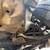 2005 Mazda Tribute S Sport Utility AWD 20 thumbnail