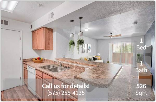 $607 / 1br - 526ft2 - 1 BR / 1 BA ideal para mascotas! Comunidad amigable con mascotas en Las Cruces (Las Cruces)63861850132993121