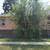 Spacious One Bedroom Unit Close Lowry & Public Transport with Private 1 thumbnail