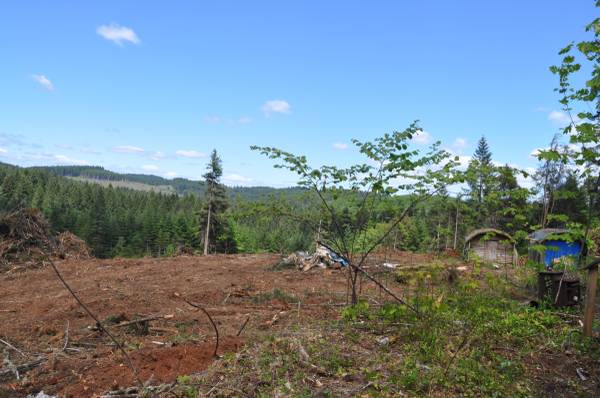 $315,000 / 2br - Are you looking for land with a view??? Check out this one today! (Elmira)63977275113475120