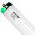 Fluorescent Light Bulbs 1 thumbnail