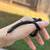 Black Snake With Setup 3 thumbnail