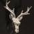 Ceramic Deer Head - Wall Mount 4 thumbnail