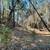 REDUCED!!  10 Plus Forested Acres, Good Well, Quiet, Water Storage 14 thumbnail