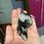 Mice 18 thumbnail